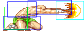 1021-low_tiger_shot_forward