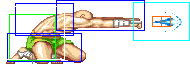 1021-low_tiger_shot_forward
