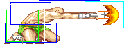 1022-low_tiger_shot_roundhouse
