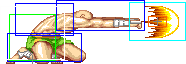 1022-low_tiger_shot_roundhouse