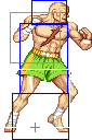 1040-tiger_knee