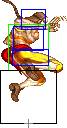 0160-diagonal_jump_roundhouse